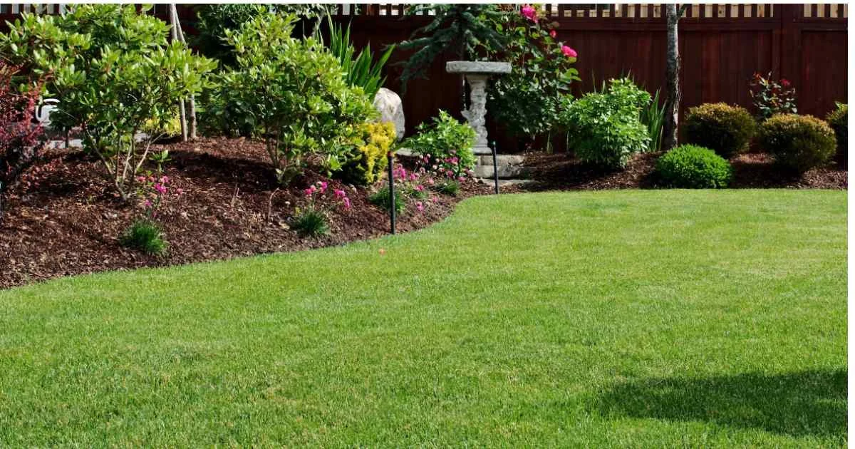 Beautifully maintained backyard garden with trimmed grass, shrubs, and flowering plants